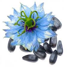 Black Seed Oil 100% Natural Organic | NinonUSA