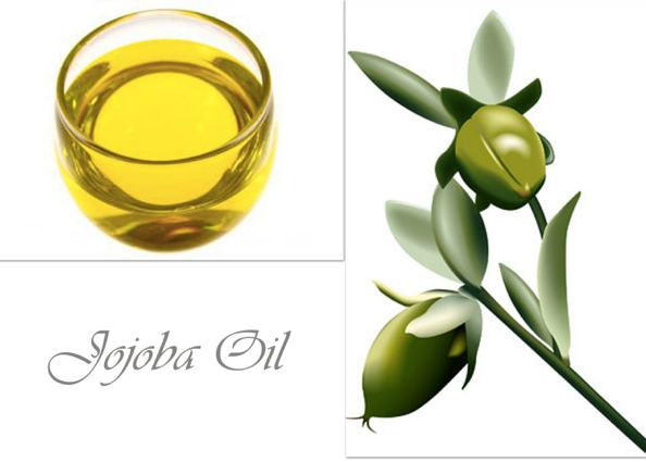 Jojoba Oil (100% Natural Organic)