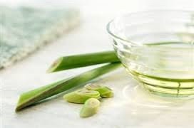 Lemongrass Oil (100% Natural)